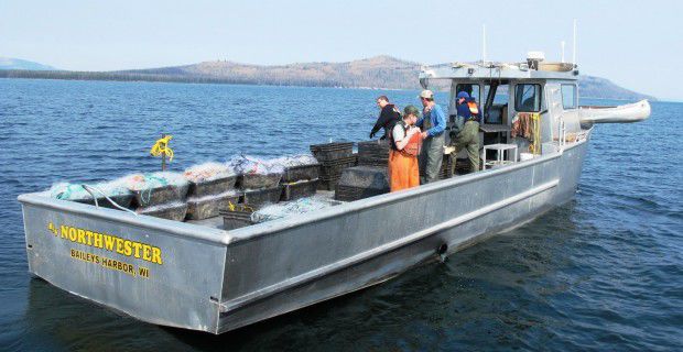 Lake trout removal